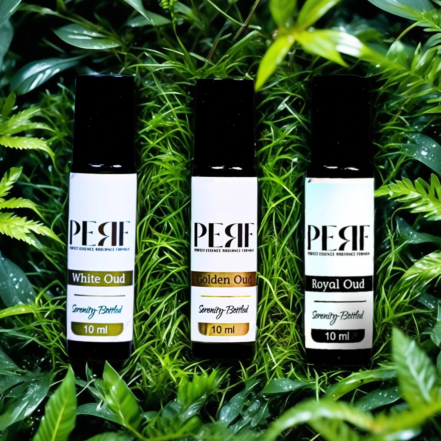 The Oud Trio Attar Combo